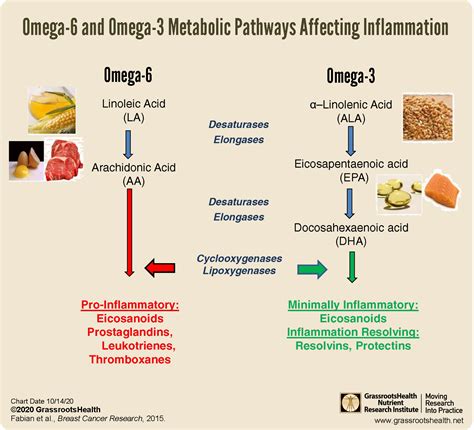 omega 3 fatty acids blood thinning|omega 3 and clopidogrel.